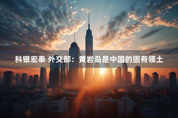 科银宏泰 外交部：黄岩岛是中国的固有领土