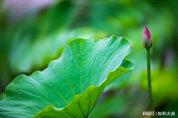 华生证券 女人有钱没钱，一眼就能看出：没钱的人，大多有这3个穷习惯