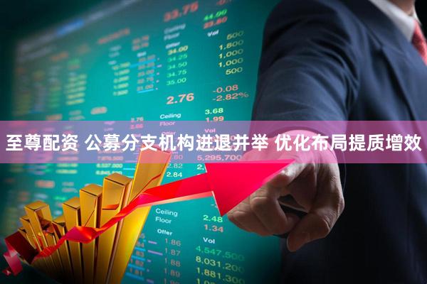 至尊配资 公募分支机构进退并举 优化布局提质增效