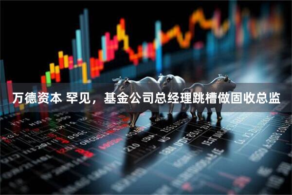 万德资本 罕见，基金公司总经理跳槽做固收总监